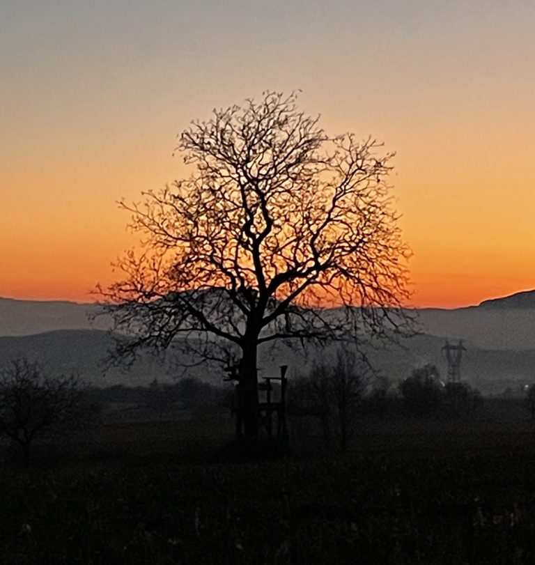 Lire la suite à propos de l’article Sans filtre… un aperçu des couchers de soleil autour du Pré